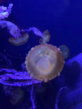 すみだ水族館に投稿された画像（2023/4/18）