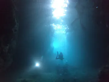 武藤潜水に投稿された画像（2023/4/18）