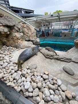 京都水族館に投稿された画像（2023/4/18）