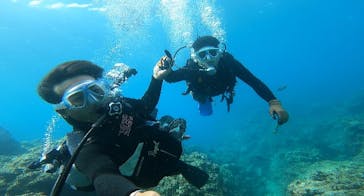 DIVING-SHOP SUNSに投稿された画像（2023/4/18）