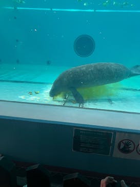 沖縄美ら海水族館に投稿された画像（2023/4/18）