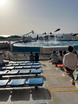 沖縄美ら海水族館に投稿された画像（2023/4/18）
