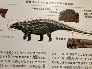 特別展「恐竜博2023」に投稿された画像（2023/4/18）