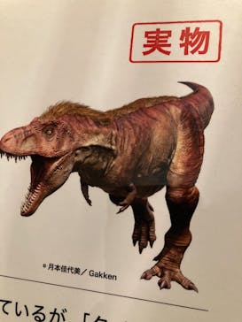 特別展「恐竜博2023」に投稿された画像（2023/4/18）