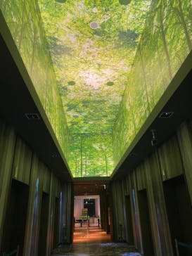 サンシャイン60展望台に投稿された画像（2023/4/18）