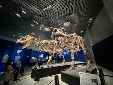 特別展「恐竜博2023」に投稿された画像（2023/4/18）