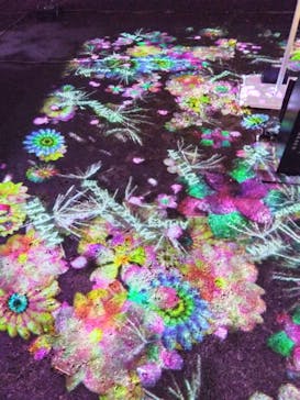 NAKED 桜の新宿御苑 2023に投稿された画像（2023/4/18）