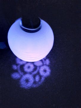 NAKED 桜の新宿御苑 2023に投稿された画像（2023/4/18）