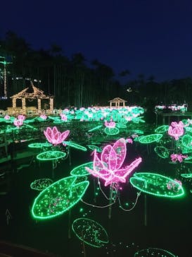 美らヤシパークオキナワ・東南植物楽園に投稿された画像（2023/4/18）