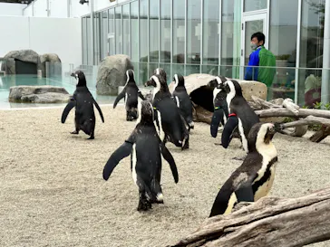 仙台うみの杜水族館に投稿された画像（2023/4/18）