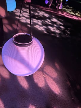 NAKED 桜の新宿御苑 2023に投稿された画像（2023/4/18）