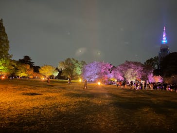 NAKED 桜の新宿御苑 2023に投稿された画像（2023/4/18）