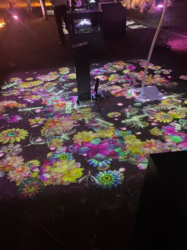 NAKED 桜の新宿御苑 2023に投稿された画像（2023/4/18）