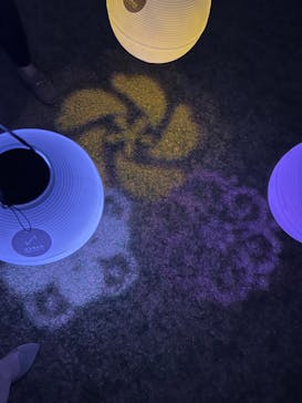 NAKED 桜の新宿御苑 2023に投稿された画像（2023/4/18）