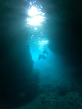 武藤潜水に投稿された画像（2023/4/19）