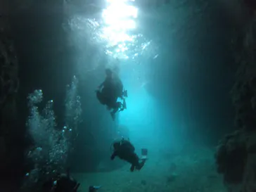 武藤潜水に投稿された画像（2023/4/19）