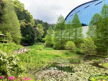 特別展 アール・ヌーヴォーのガラス ーガレとドームの自然賛歌ーに投稿された画像（2023/4/19）