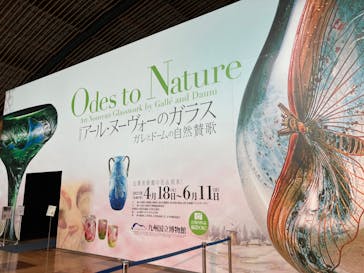 特別展 アール・ヌーヴォーのガラス ーガレとドームの自然賛歌ーに投稿された画像（2023/4/19）