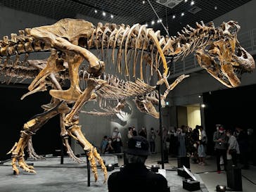 特別展「恐竜博2023」に投稿された画像（2023/4/19）