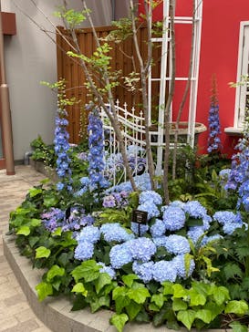 安城産業文化公園デンパークに投稿された画像（2023/4/19）