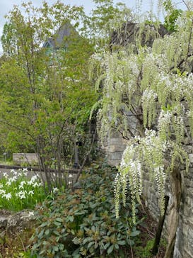 安城産業文化公園デンパークに投稿された画像（2023/4/19）