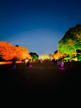 NAKED 桜の新宿御苑 2023に投稿された画像（2023/4/19）