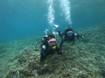 武藤潜水に投稿された画像（2023/4/19）