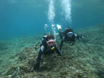 武藤潜水に投稿された画像（2023/4/19）