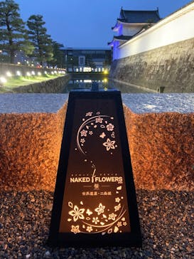 『NAKED FLOWERS 2023 桜 世界遺産・二条城』に投稿された画像（2023/4/19）