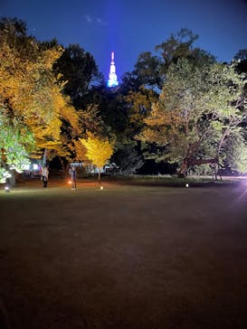 NAKED 桜の新宿御苑 2023に投稿された画像（2023/4/19）