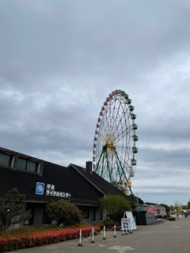 国営ひたち海浜公園プレジャーガーデンに投稿された画像（2023/4/19）