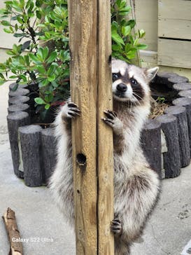 到津の森公園に投稿された画像（2023/4/19）