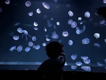 サンシャイン水族館に投稿された画像（2023/4/19）