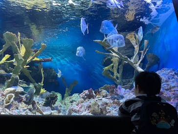 サンシャイン水族館に投稿された画像（2023/4/19）
