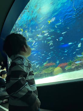 サンシャイン水族館に投稿された画像（2023/4/19）