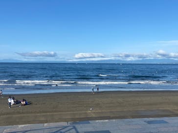 新江ノ島水族館に投稿された画像（2023/4/19）