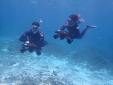 marine assist DEMI（マリンアシストデミ）に投稿された画像（2023/4/19）