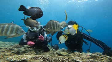 青の洞窟専門店　沖縄ダイビングショップ和に投稿された画像（2023/4/19）