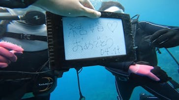 青の洞窟専門店　沖縄ダイビングショップ和に投稿された画像（2023/4/19）