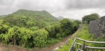 今帰仁城跡に投稿された画像（2023/4/19）