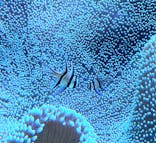 大分マリーンパレス水族館 「うみたまご」に投稿された画像（2023/4/19）