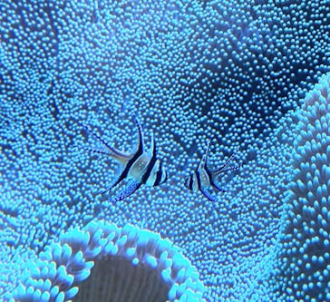 大分マリーンパレス水族館 「うみたまご」に投稿された画像（2023/4/19）