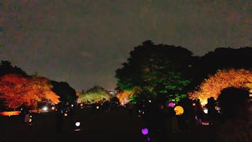 NAKED 桜の新宿御苑 2023に投稿された画像（2023/4/19）