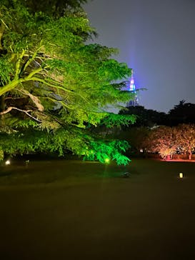 NAKED 桜の新宿御苑 2023に投稿された画像（2023/4/19）