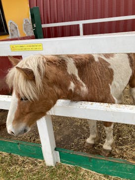 ワールド牧場に投稿された画像（2023/4/19）