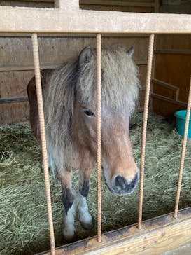 ワールド牧場に投稿された画像（2023/4/19）