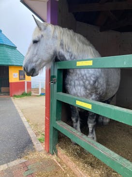 ワールド牧場に投稿された画像（2023/4/19）