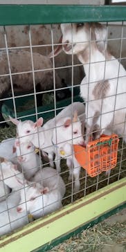 ワールド牧場に投稿された画像（2023/4/19）