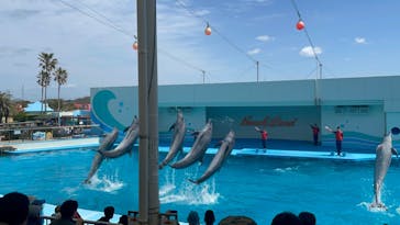 南知多ビーチランド＆南知多おもちゃ王国に投稿された画像（2023/4/19）