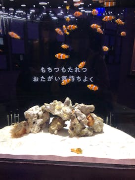 横浜開運水族館 フォーチュンアクアリウムに投稿された画像（2023/4/19）